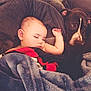 baby, sleeping, dog, blanket, couch, cozy, earring, fur, comfort, snuggle, pet, child, nap, indoor, relaxation, cute, friendship, rest, warmth, animal