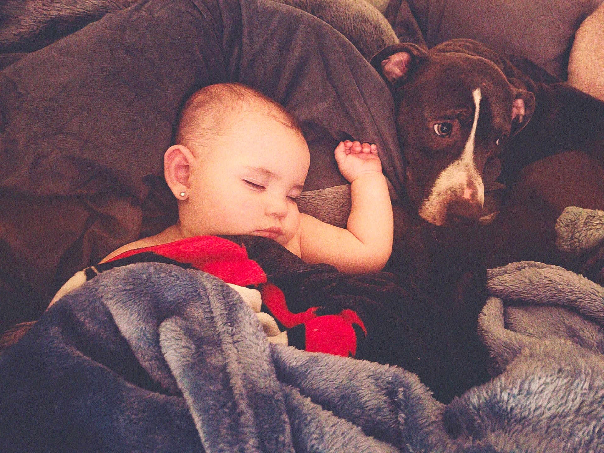 Ariana is registered to the contest to win money with this photo: baby, sleeping, dog, blanket, couch, cozy, earring, fur, comfort, snuggle, pet, child, nap, indoor, relaxation, cute, friendship, rest, warmth, animal