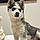 Yuki