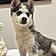 Yuki