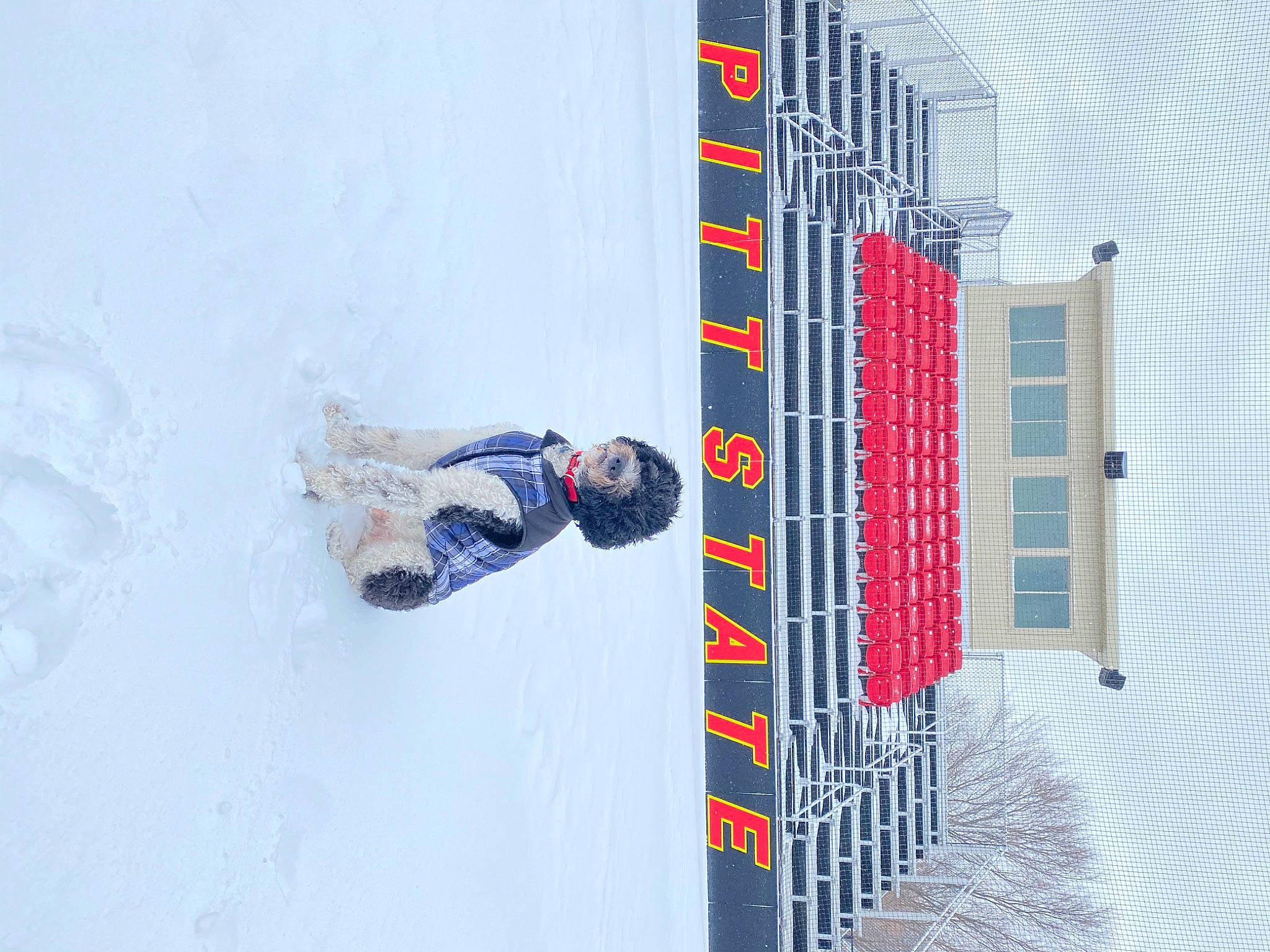 Ruger joined the competition — help win amazing prizes! adventure, art, building, concrete, door, electric_blue, extreme_sport, facade, freezing, fun, leisure, machine, paint, pattern, recreation, rectangle, slope, snow, window, winter