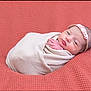 newborn, baby, infant, wrapped, blanket, headband, pink, coral, texture, sleepy, portrait, cute, soft, peaceful, resting, young, child, face, hand, cozy