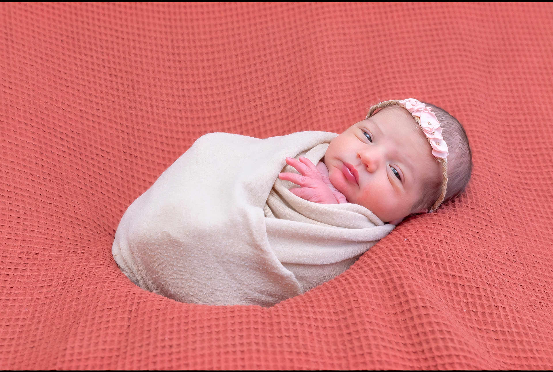 Clara participe au concours pour gagner de l'argent avec cette photo : newborn, baby, infant, wrapped, blanket, headband, pink, coral, texture, sleepy, portrait, cute, soft, peaceful, resting, young, child, face, hand, cozy