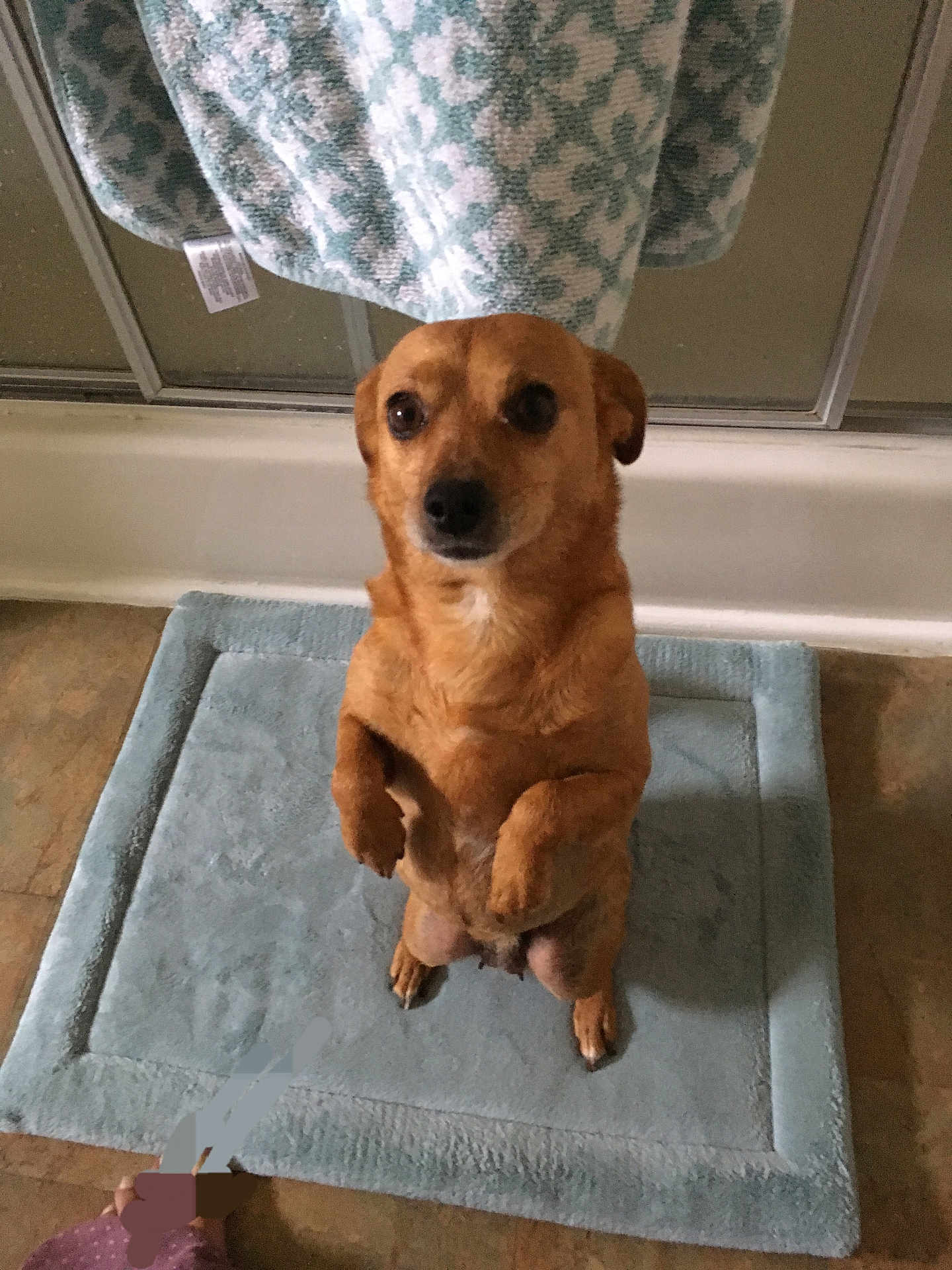 Minnie
