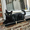 black_cat, cat, windowsill, brick_wall, window, green_eyes, animal, pet, feline, resting, outdoor, curious, portrait, shiny_coat, texture, close_up, domestic_cat, daylight, still_life, quiet