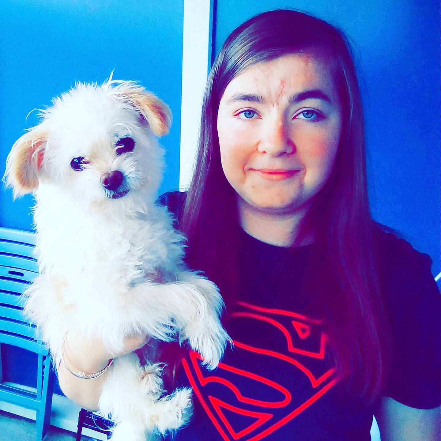 Chonchon a rejoint le concours — aidez-le/la à gagner de superbes lots ! blue, carnivore, companion_dog, dog, dog_breed, dog_clothes, electric_blue, fun, fur, happy, magenta, puppy_love, shoulder, skin, small_terrier, smile, sunglasses, t_shirt, terrier, toy_dog