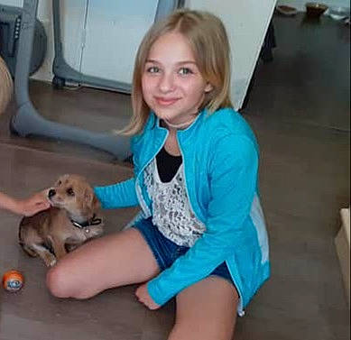 Lily a rejoint le concours — aidez-le/la à gagner de superbes lots ! canidae, carnivore, child, companion_dog, dog, dog_breed, joy, leg, person, puppy, sitting, sporting_group