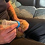 Simba participe au concours pour gagner de l'argent avec cette photo : person, tattoo, hand, kitten, orange_cat, feeding_bottle, couch, blanket, indoor, pet, cute, fur, animal, sitting, comfort, human_hand, young_animal, resting, casual, home
