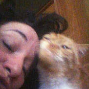 Garfield participe au concours pour gagner de l'argent avec cette photo :