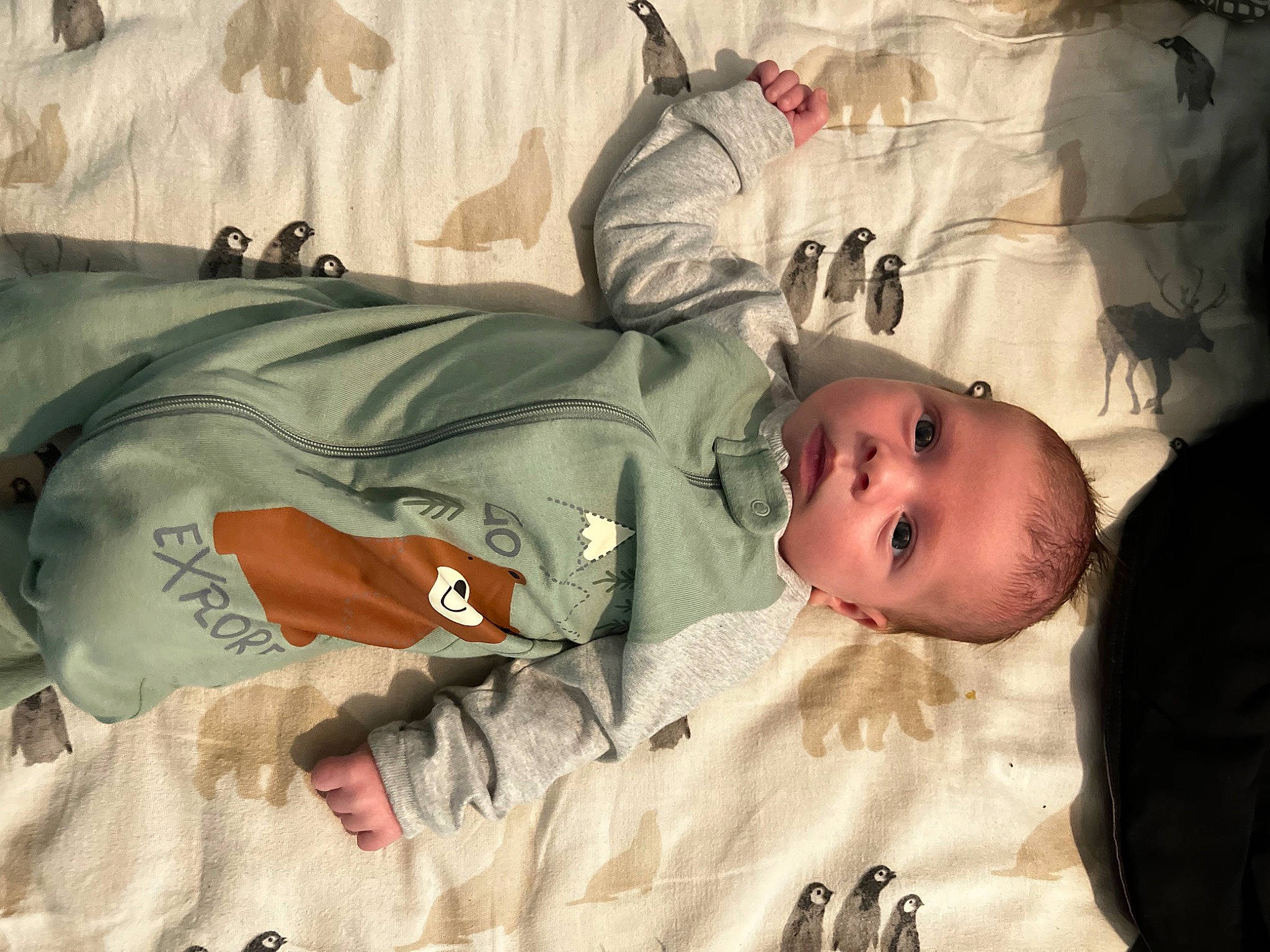 Ayden is registered to the contest to win money with this photo: baby, baby_products, baby_safety, baby_sleeping, baby_toddler_clothing, bed, bedding, bedtime, blanket, child, comfort, infant_bed, linens, pattern, person, room, sleep, sleeve, toddler