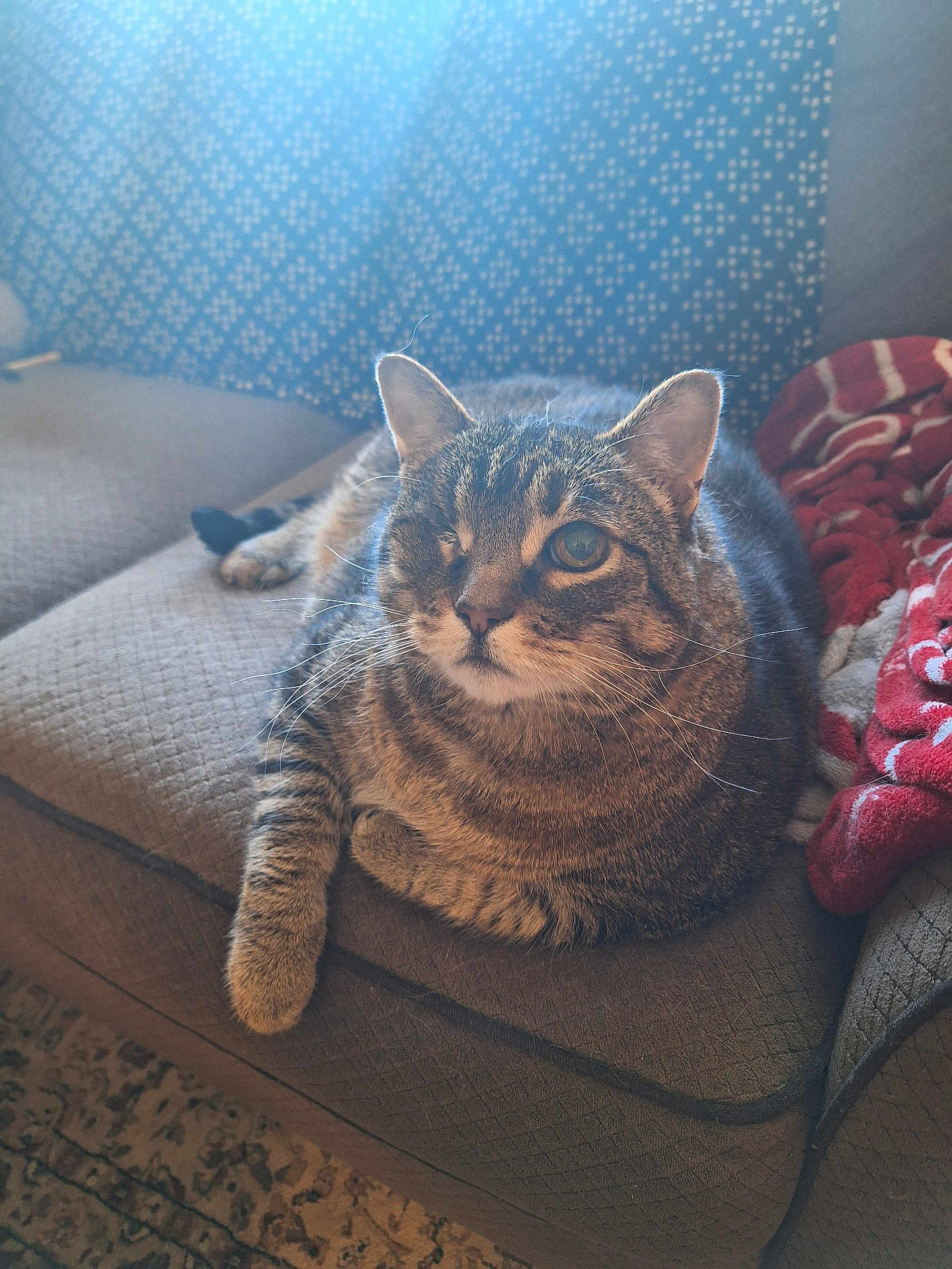 Hunter