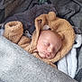 baby, sleeping, blanket, cozy, fuzzy, bear_outfit, infant, peaceful, stroller, child, cute, soft, warm, resting, bundle, hooded_clothing, face, portrait, indoors, comfort