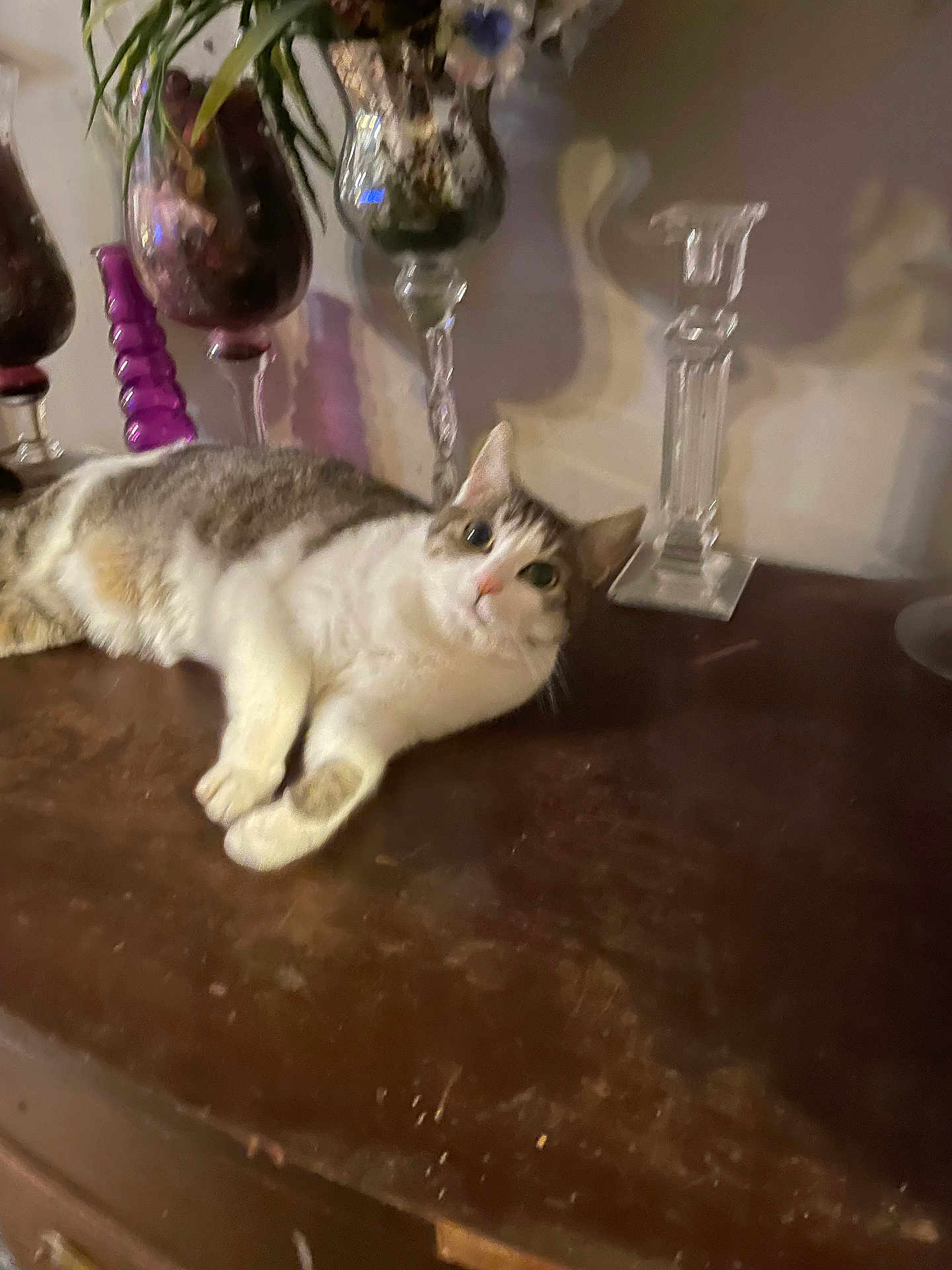 Fancy