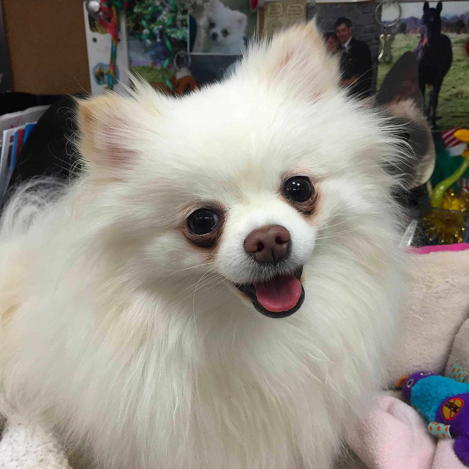 Bryn is registered to the contest to win money with this photo: