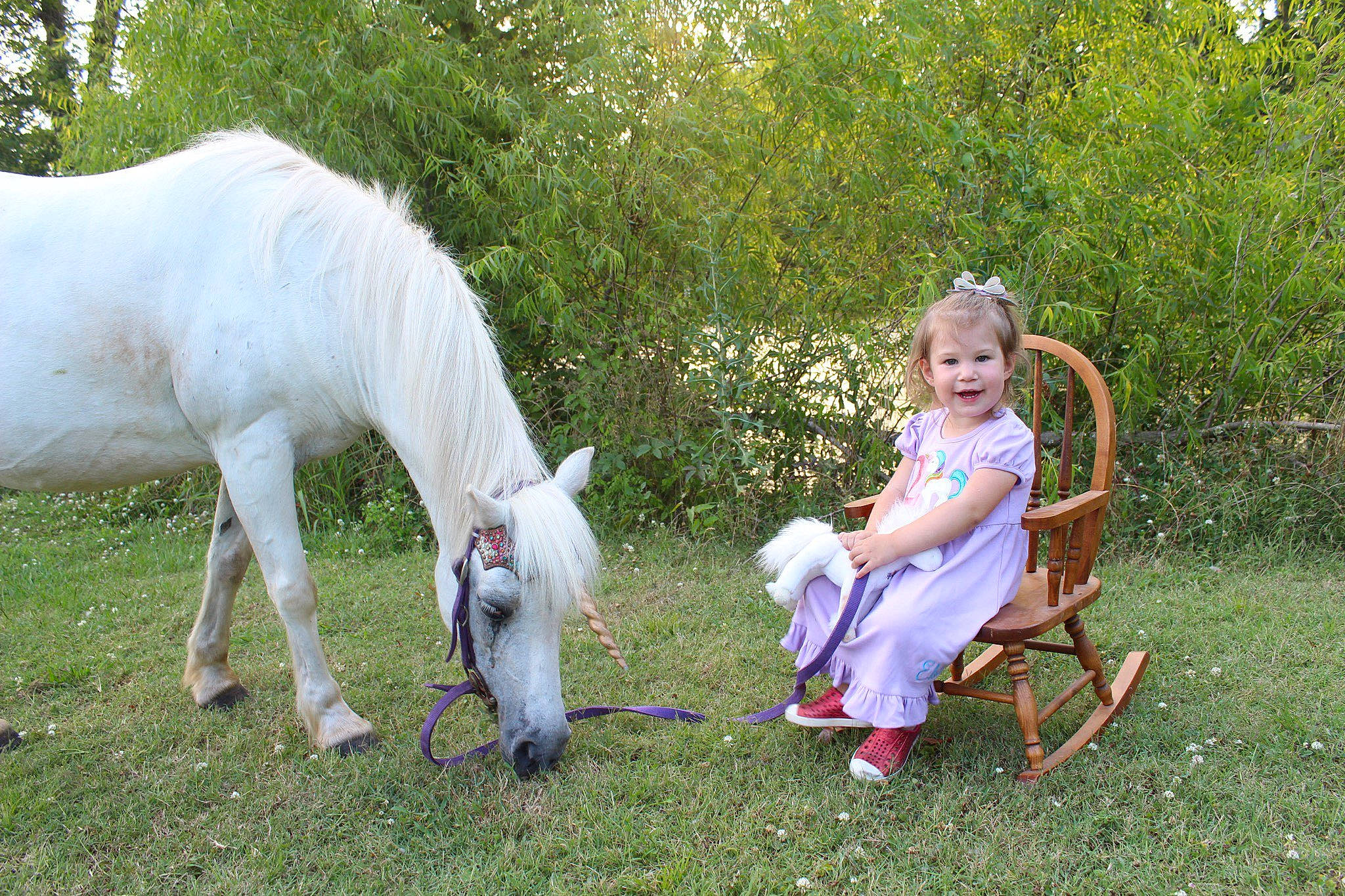 Elsa is registered to the contest to win money with this photo: baby_toddler_clothing, bridle, fur, garden, horse, horse_supplies, horse_tack, human, joy, livestock, mammal, mane, mare, outdoor_furniture, pasture, people_in_nature, person, pony, shetland_pony, stallion