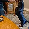 dog, dachshund, pet, indoor, carpet, table, hand, cup, cabinet, wooden_furniture, person, black_sleeve, sniffing, small_dog, domestic, animal, floor, leash, curiosity, side_view