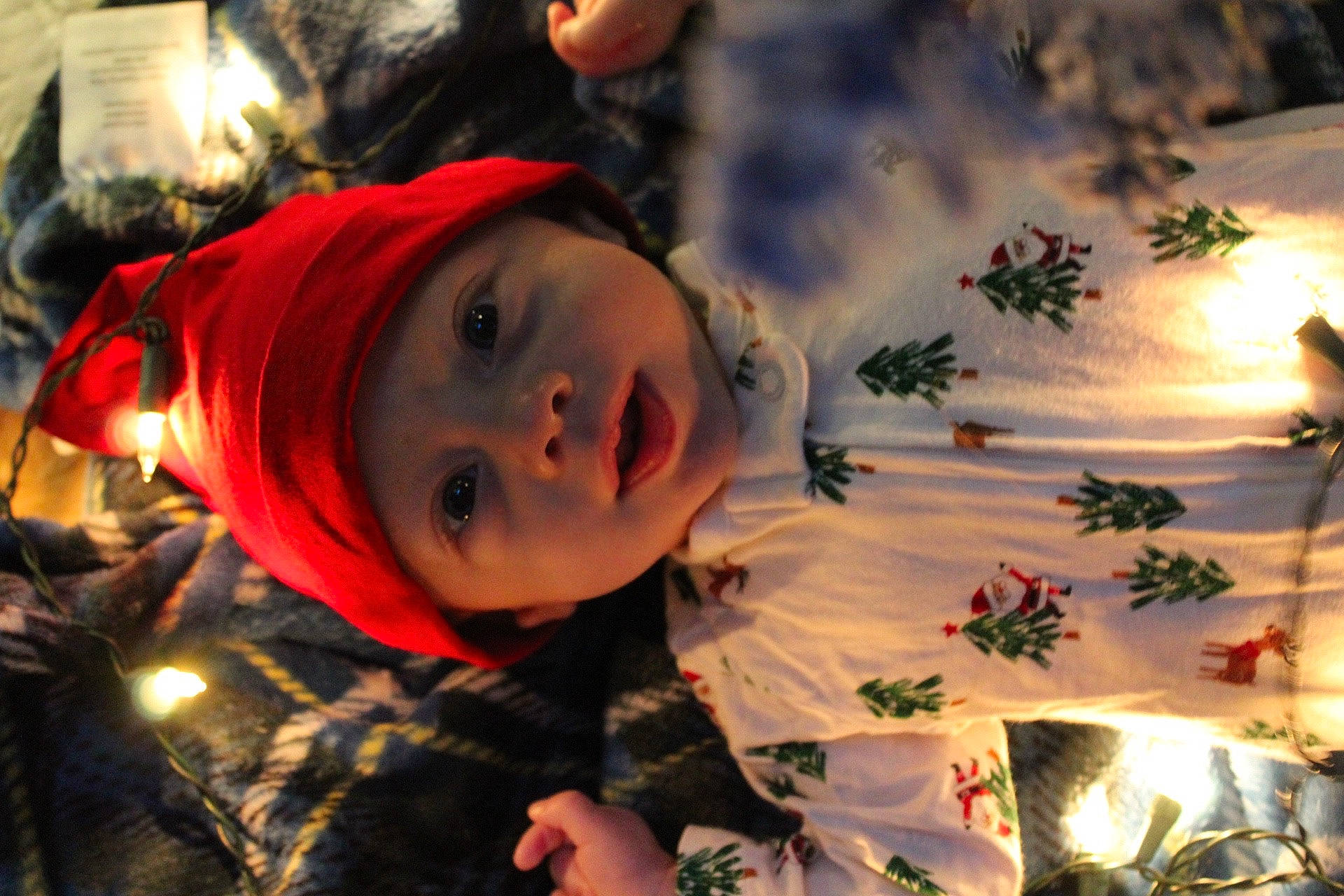 Hudson is registered to the contest to win money with this photo: child, christmas, christmas_eve, christmas_ornament, event, facial_expression, fun, grass, happy, hat, headwear, holiday, leaf, nose, orange, person, plant, sky, toddler, tradition