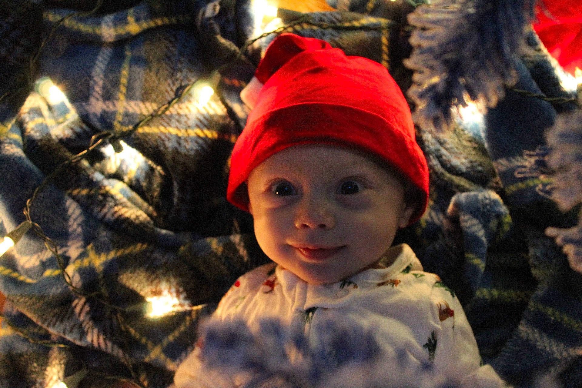 Hudson joined the competition — help win amazing prizes! cap, child, christmas_ornament, event, eye, facial_expression, flash_photography, freezing, fun, happy, headwear, human, organ, people, people_in_nature, person, plant, smile, toddler, tree