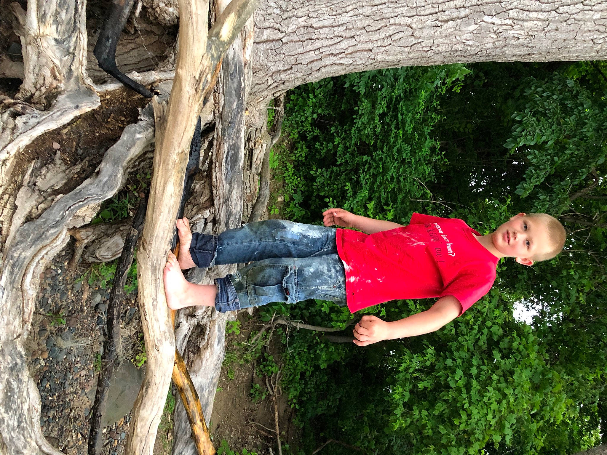 Michael Jr. joined the competition — help win amazing prizes! adventure, balance, botany, denim, elbow, fun, grass, happy, joy, leaf, leisure, people_in_nature, person, plant, recreation, rope, sport_climbing, spring, tree, trunk