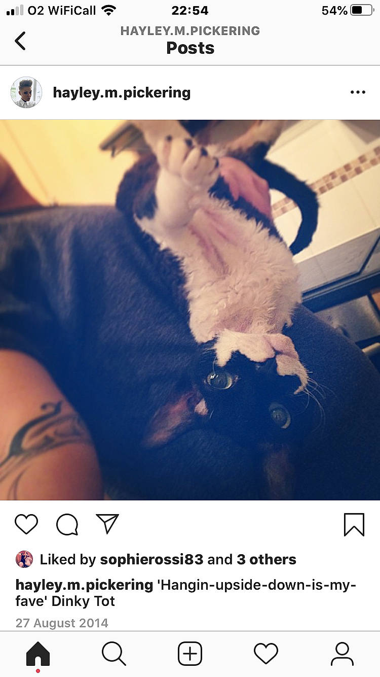 Dink is registered to the contest to win money with this photo: animal_product, flesh, font, fur, jaw, organ, paw, photo_caption, photography, screenshot, skin, tattoo, tooth