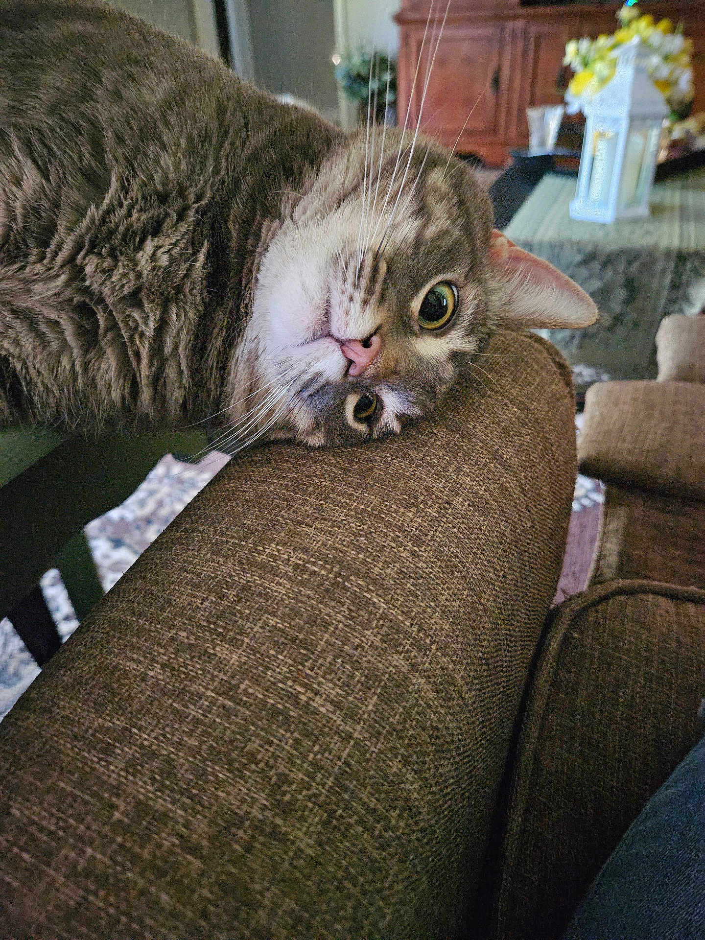 Gigi