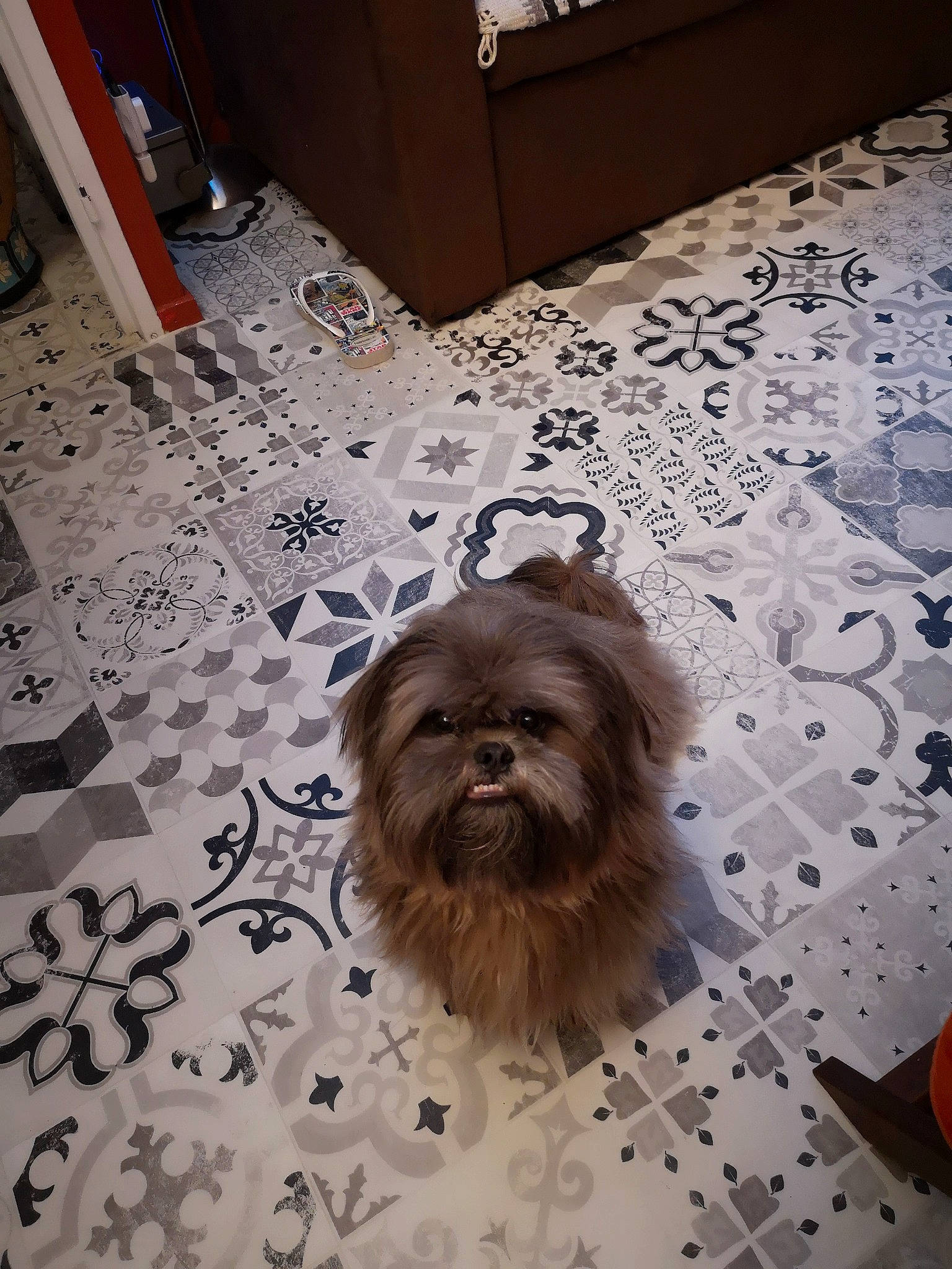 Chewie participe au concours pour gagner de l'argent avec cette photo :