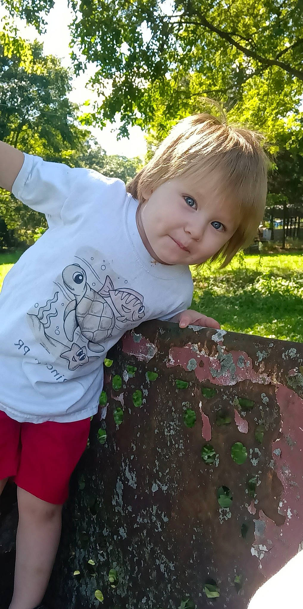 Conner joined the competition — help win amazing prizes! beauty, botany, child, grass, hairstyle, happy, leaf, leisure, pattern, people, people_in_nature, person, plant, recreation, shorts, sleeve, smile, t_shirt, toddler, tree