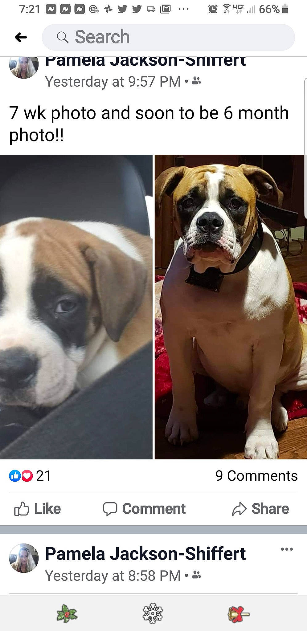 Axel joined the competition — help win amazing prizes! american_bulldog, ancient_dog_breeds, australian_bulldog, bulldog, canidae, carnivore, dog, dog_breed, dorset_olde_tyme_bulldogge, mammal, non_sporting_group, old_english_bulldog, olde_english_bulldogge, photo_caption, puppy, rare_breed_dog, snout, sporting_group, valley_bulldog, vertebrate