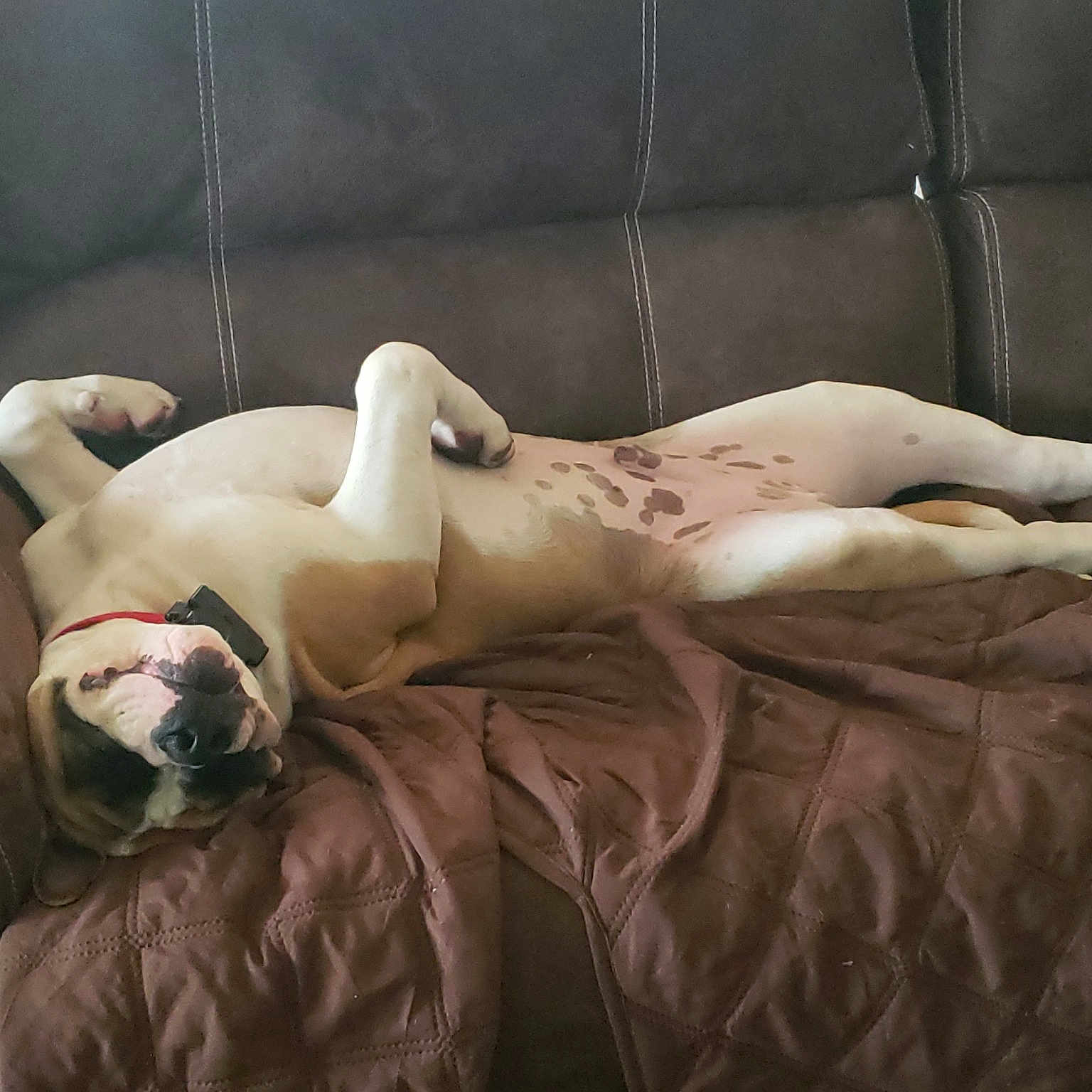 Axel