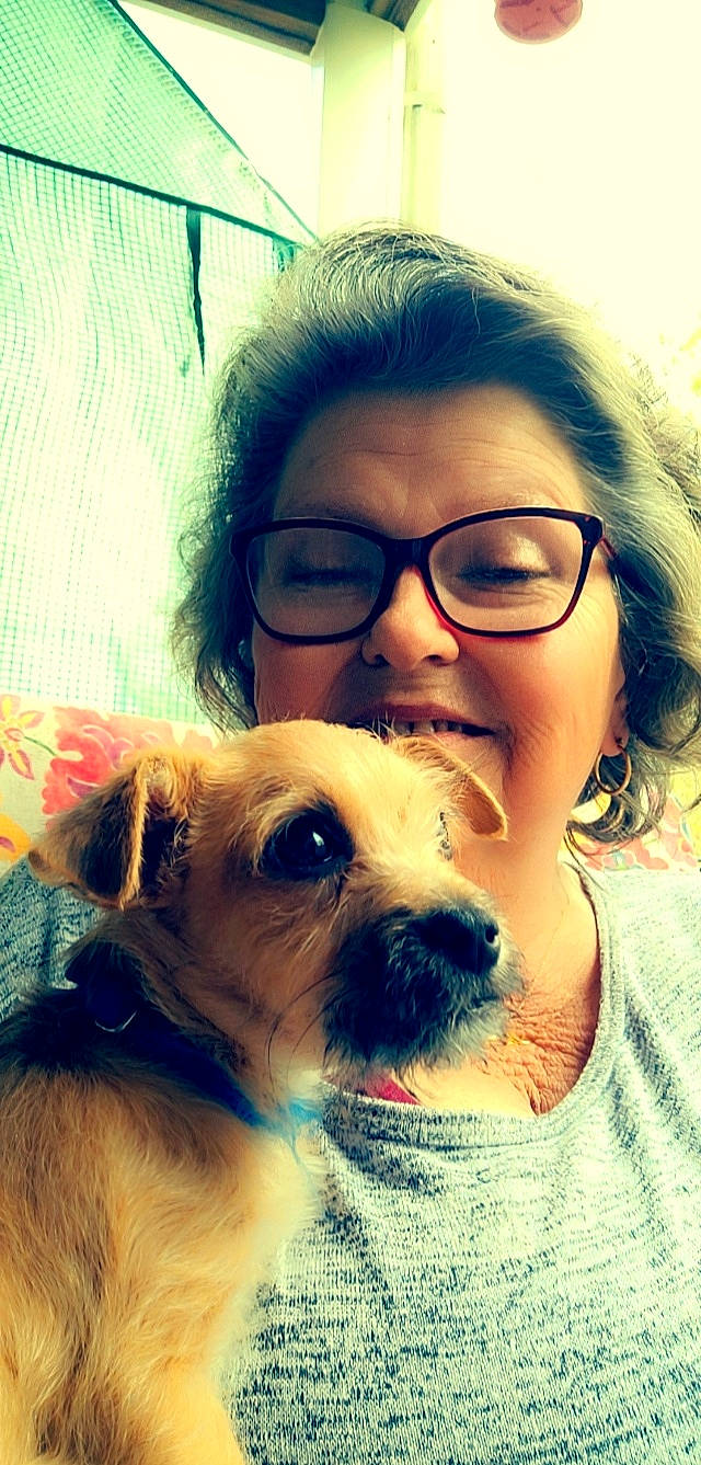 Bensley is registered to the contest to win money with this photo: carnivore, companion_dog, dog, dog_breed, ear, eye, eyebrow, eyelash, eyewear, fawn, glasses, hair, happy, iris, jaw, nose, skin, sunglasses, vision_care, whiskers