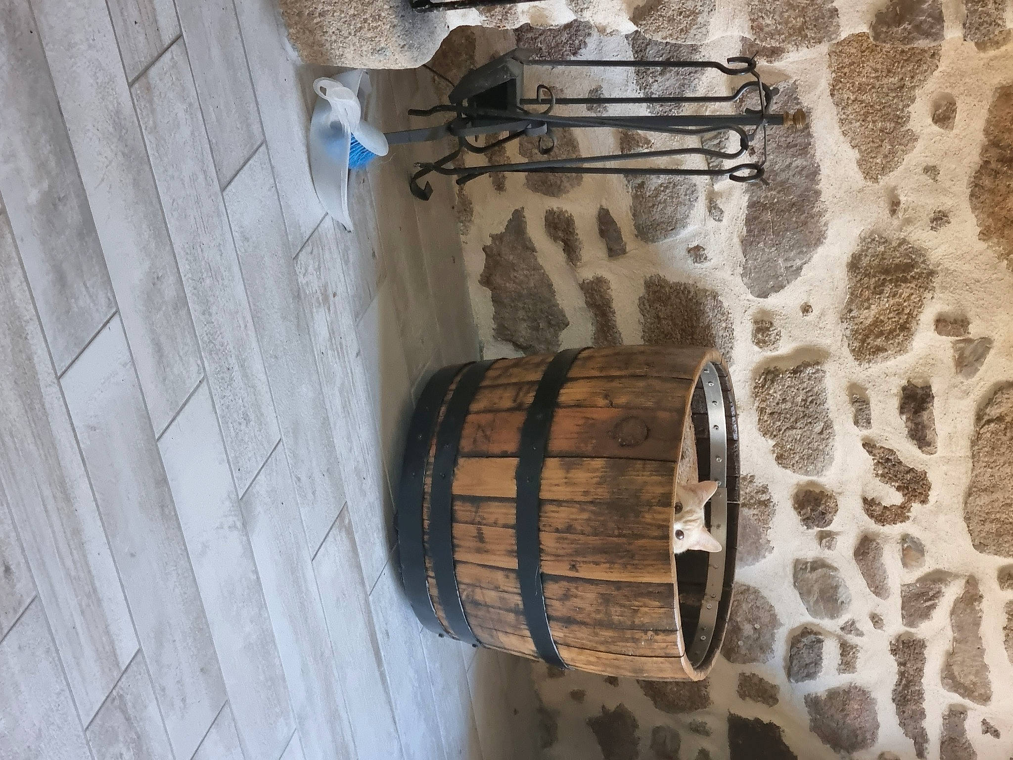 Coco a rejoint le concours — aidez-le/la à gagner de superbes lots ! art, brown, building, hardwood, history, metal, musical_instrument, natural_material, plywood, tints_and_shades, window, wood, wood_stain