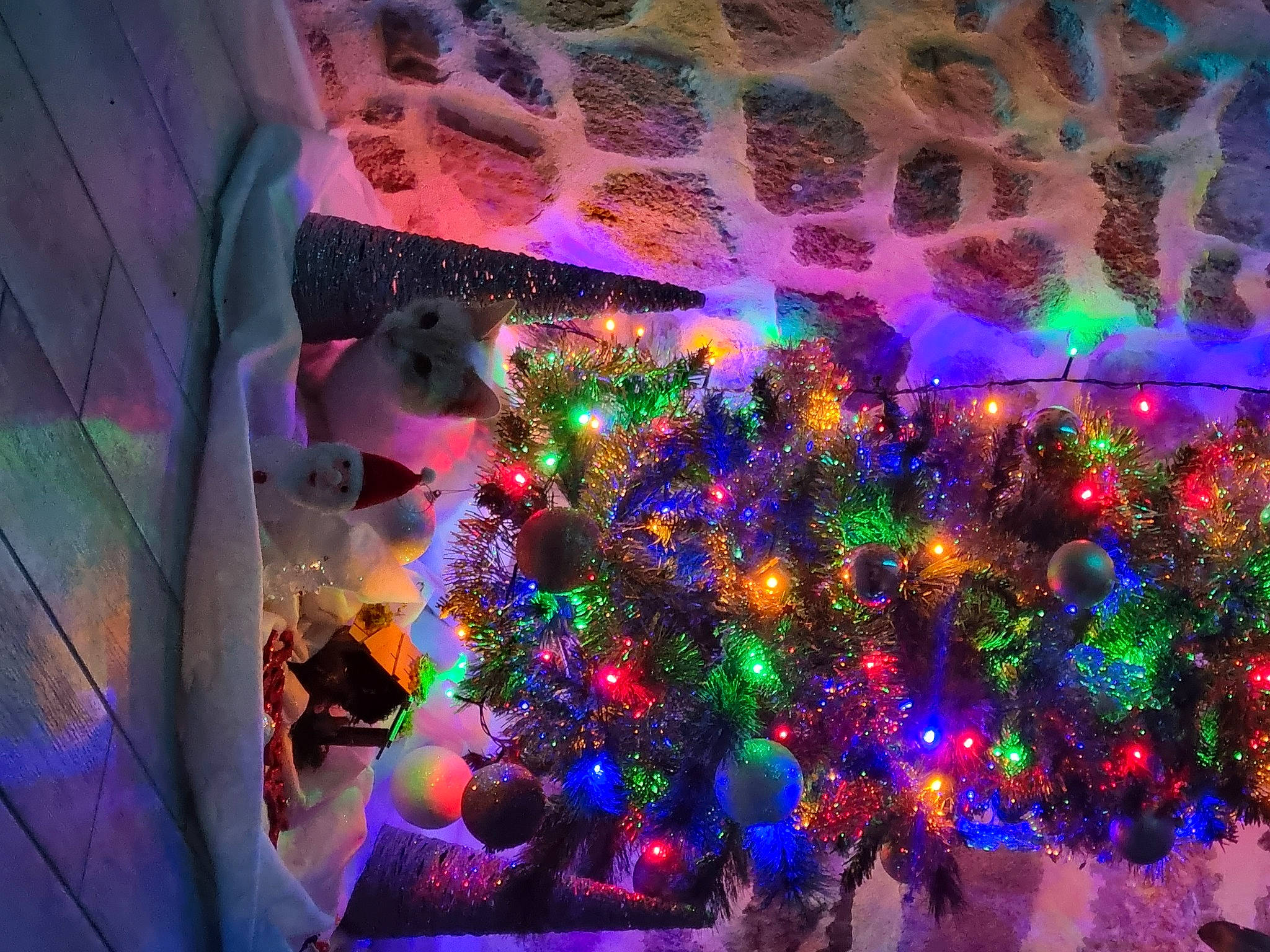 Coco participe au concours pour gagner de l'argent avec cette photo : art, christmas_decoration, christmas_ornament, darkness, electric_blue, entertainment, event, fun, glass, light, magenta, organism, ornament, plant, purple, space, tree, violet, visual_effect_lighting, water