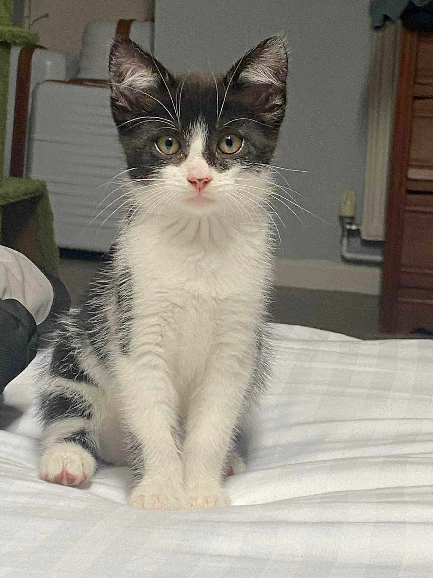 Bruce