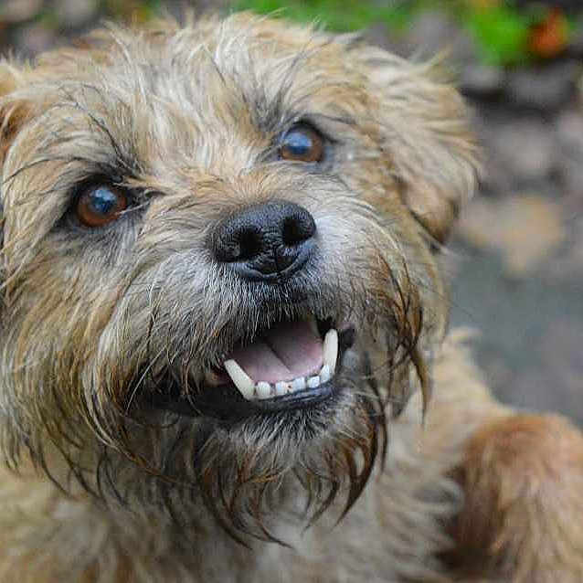 Floyd is registered to the contest to win money with this photo: