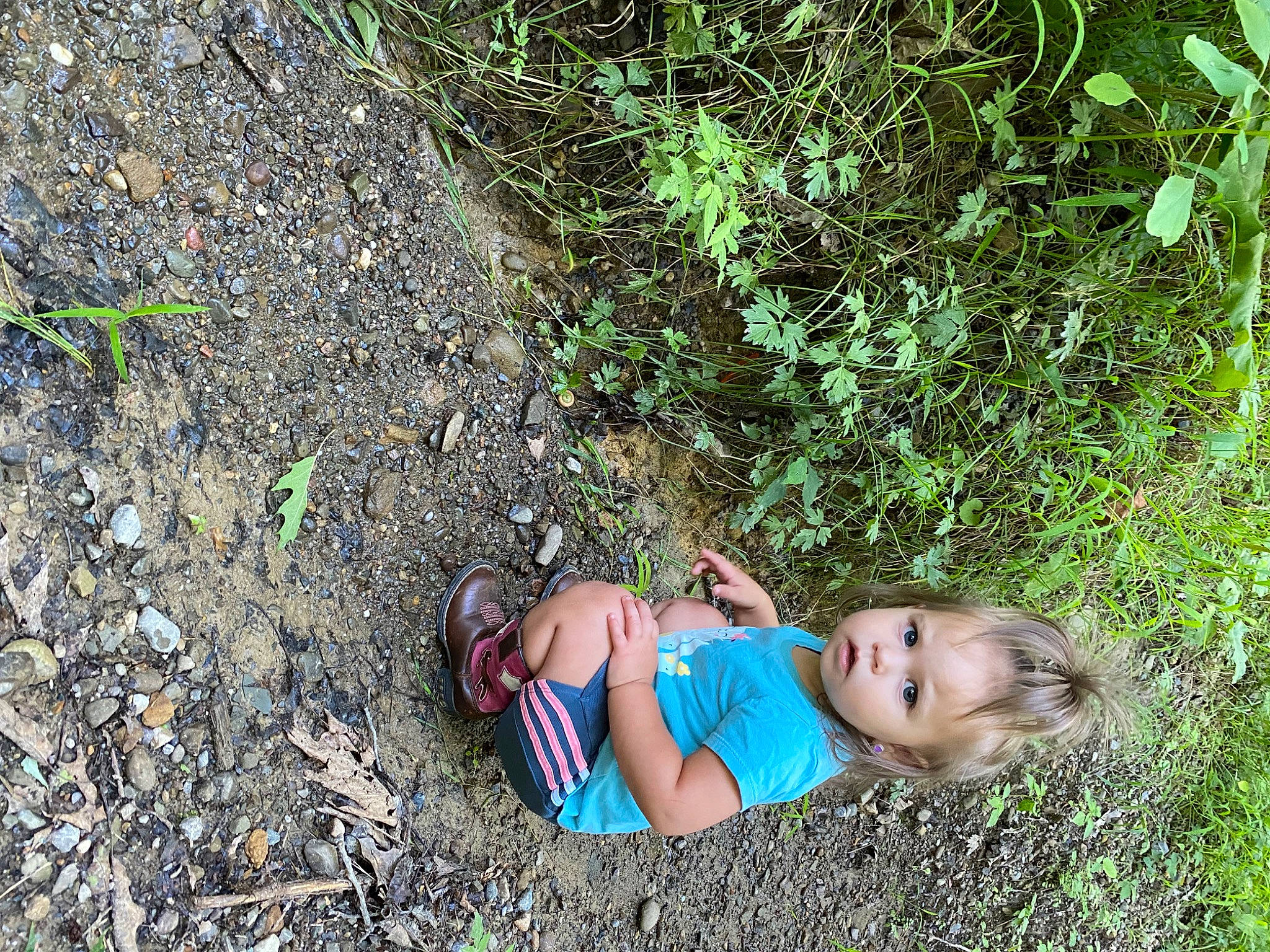 Alayna joined the competition — help win amazing prizes! baby, baby_toddler_clothing, child, electric_blue, fun, garden, grass, grass_family, grassland, groundcover, landscape, leisure, people_in_nature, person, plant, shrub, smile, soil, terrestrial_plant, toddler