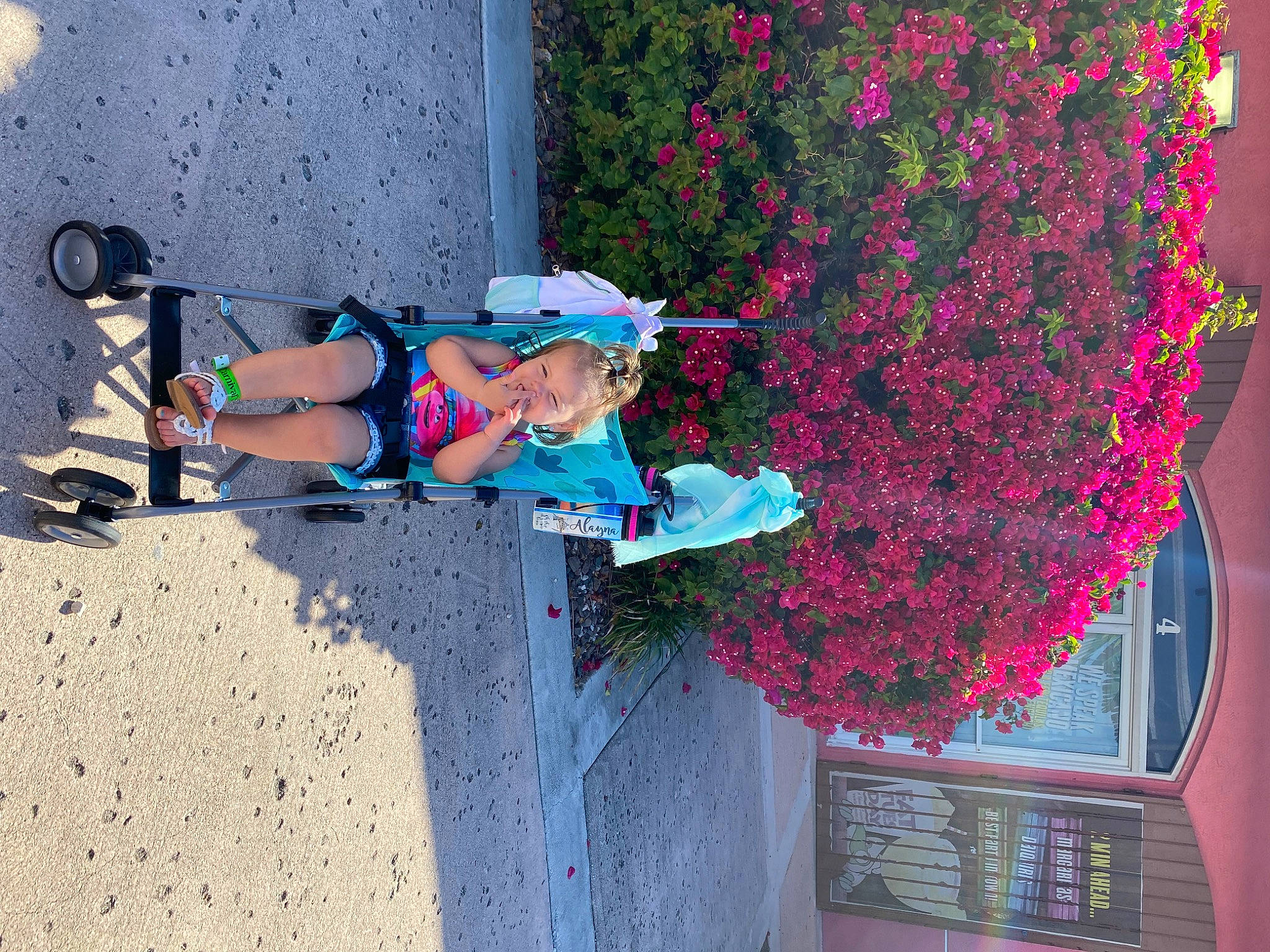 Alayna joined the competition — help win amazing prizes! annual_plant, blue, child, concrete, electric_blue, facade, flower, fun, leisure, magenta, person, petal, pink, plant, recreation, shrub, sidewalk, smile, street, toddler