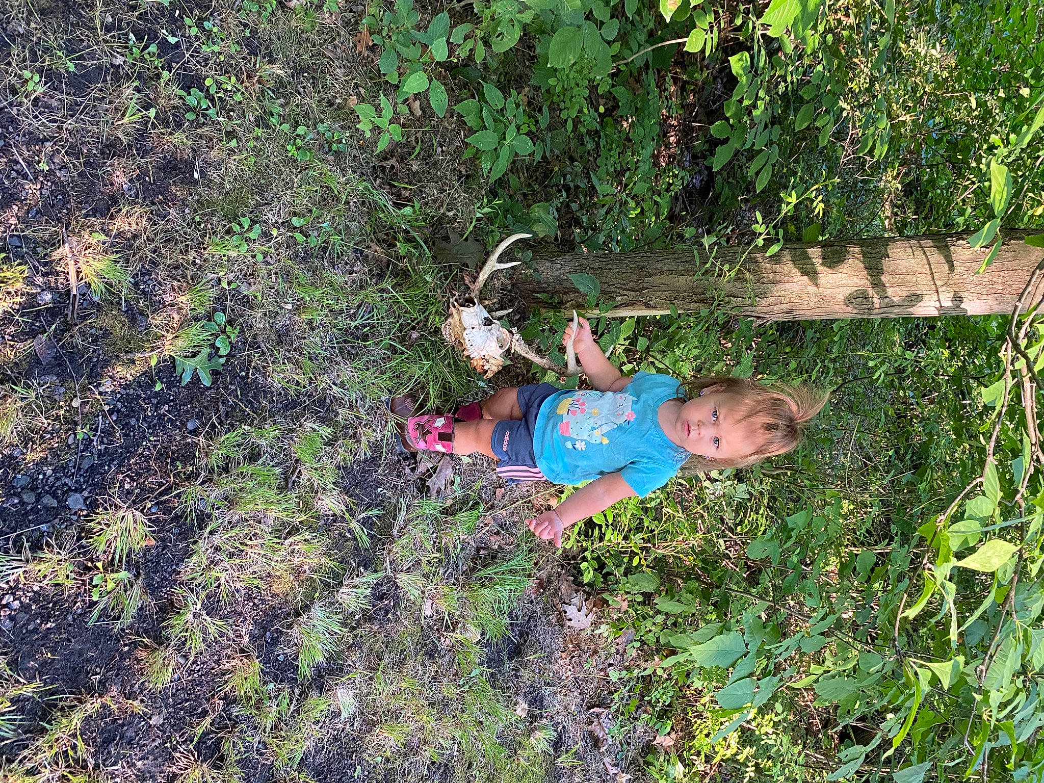 Alayna is registered to the contest to win money with this photo: baby_toddler_clothing, child, forest, fun, garden, grass, grass_family, groundcover, jungle, landscape, nature_reserve, organism, people_in_nature, person, plant, plant_community, shrub, soil, terrestrial_plant, toddler