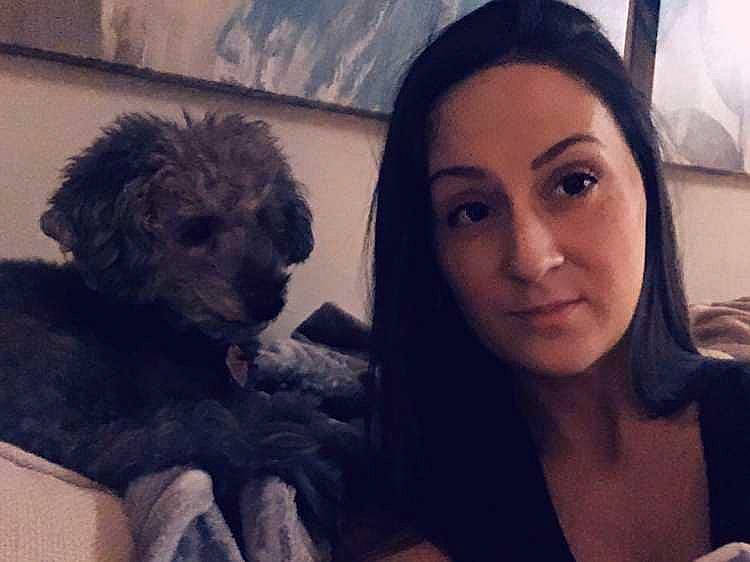 Lilly is registered to the contest to win money with this photo: canidae, carnivore, cockapoo, companion_dog, dog, dog_breed, face, fur, labradoodle, miniature_poodle, nose, photography, poodle, poodle_crossbreed, puppy, puppy_love, selfie, sporting_group, toy_poodle
