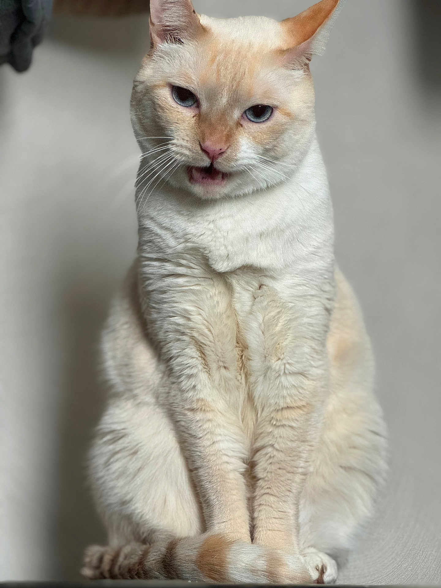 Simba