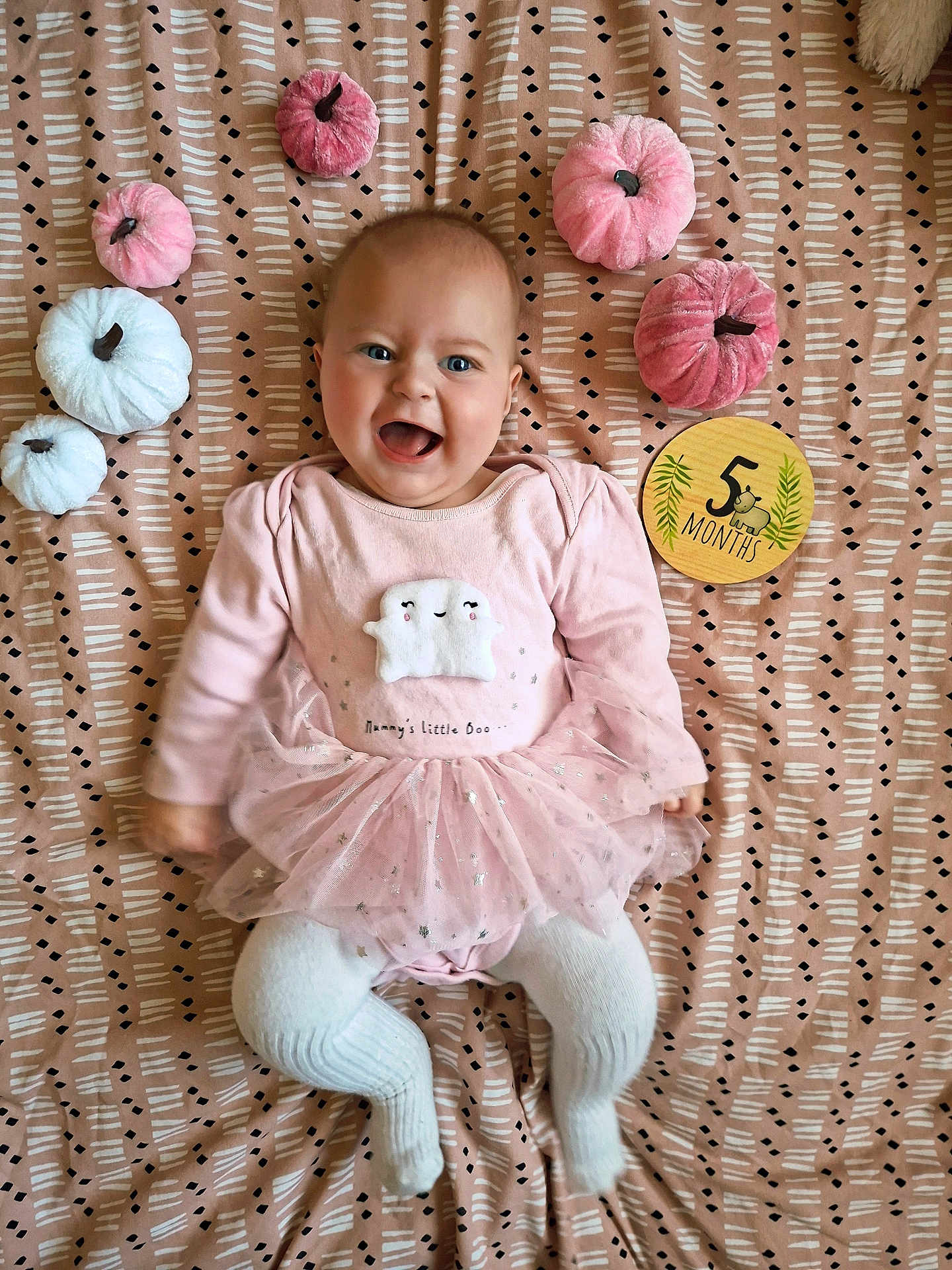 Gracie
