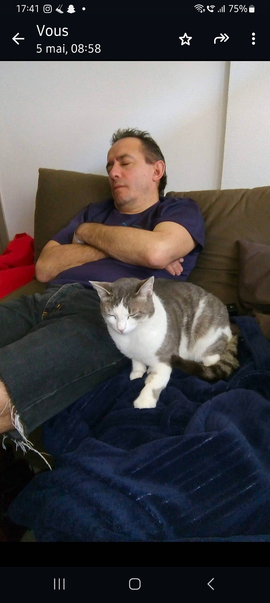 Bolt a rejoint le concours — aidez-le/la à gagner de superbes lots ! beard, carnivore, cat, comfort, companion_dog, couch, domestic_short_haired_cat, elbow, fawn, felidae, fur, hardwood, knee, lap, room, sitting, small_to_medium_sized_cats, tail, whiskers, wood