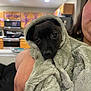 Ally Anne is registered to the contest to win money with this photo: dog, puppy, blanket, towel, wrapped, hood, big_eyes, black_fur, close_up, portrait, indoor, kitchen, cabinets, person_partial, arm, holding, cozy, couch, pet, looking_at_camera