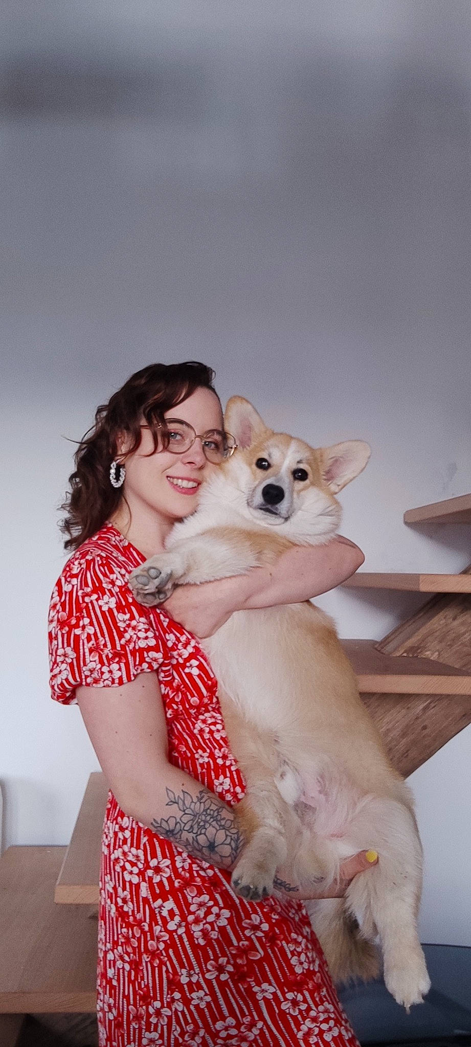 Yuko a rejoint le concours — aidez-le/la à gagner de superbes lots ! abdomen, canidae, carnivore, comfort, companion_dog, dog, dog_breed, event, eyewear, fashion_design, fawn, fun, fur, happy, leisure, sitting, smile, sporting_group, sunglasses, vacation