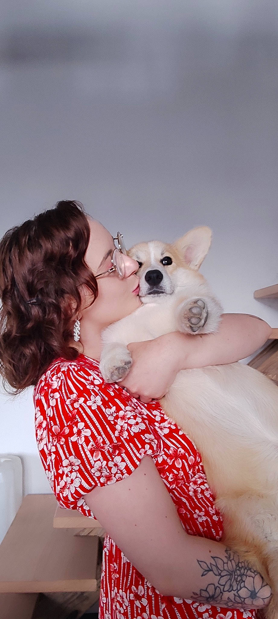 Yuko a rejoint le concours — aidez-le/la à gagner de superbes lots ! blond, carnivore, comfort, companion_dog, dog, dog_breed, eyewear, fawn, flash_photography, fun, fur, gesture, happy, head, kiss, shoulder, skin, sunglasses, toy, toy_dog