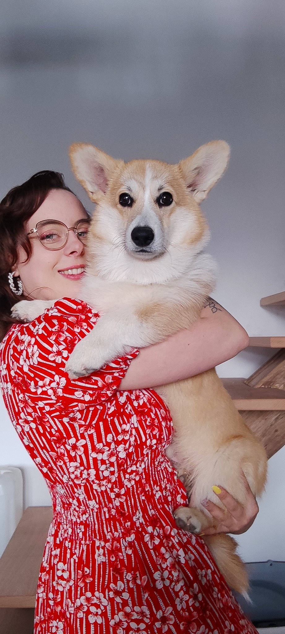 Yuko a rejoint le concours — aidez-le/la à gagner de superbes lots ! canidae, carnivore, comfort, companion_dog, dog, dog_breed, dog_supply, ear, event, fawn, fun, fur, gesture, happy, head, pattern, sitting, smile, sporting_group, working_animal