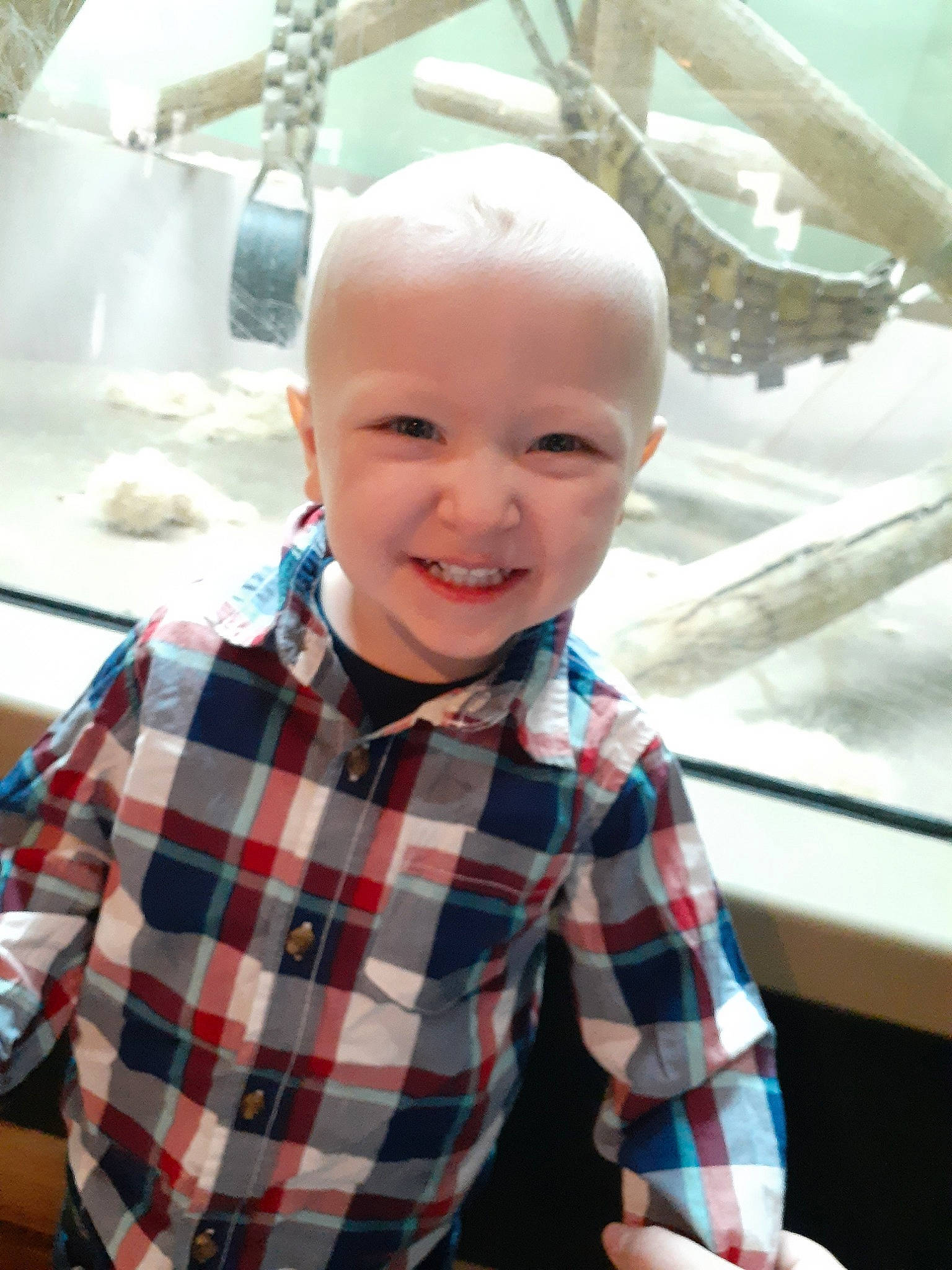 Graysen joined the competition — help win amazing prizes! baby, child, design, face, head, joy, pattern, person, plaid, skin, smile, tartan, textile, toddler, vacation