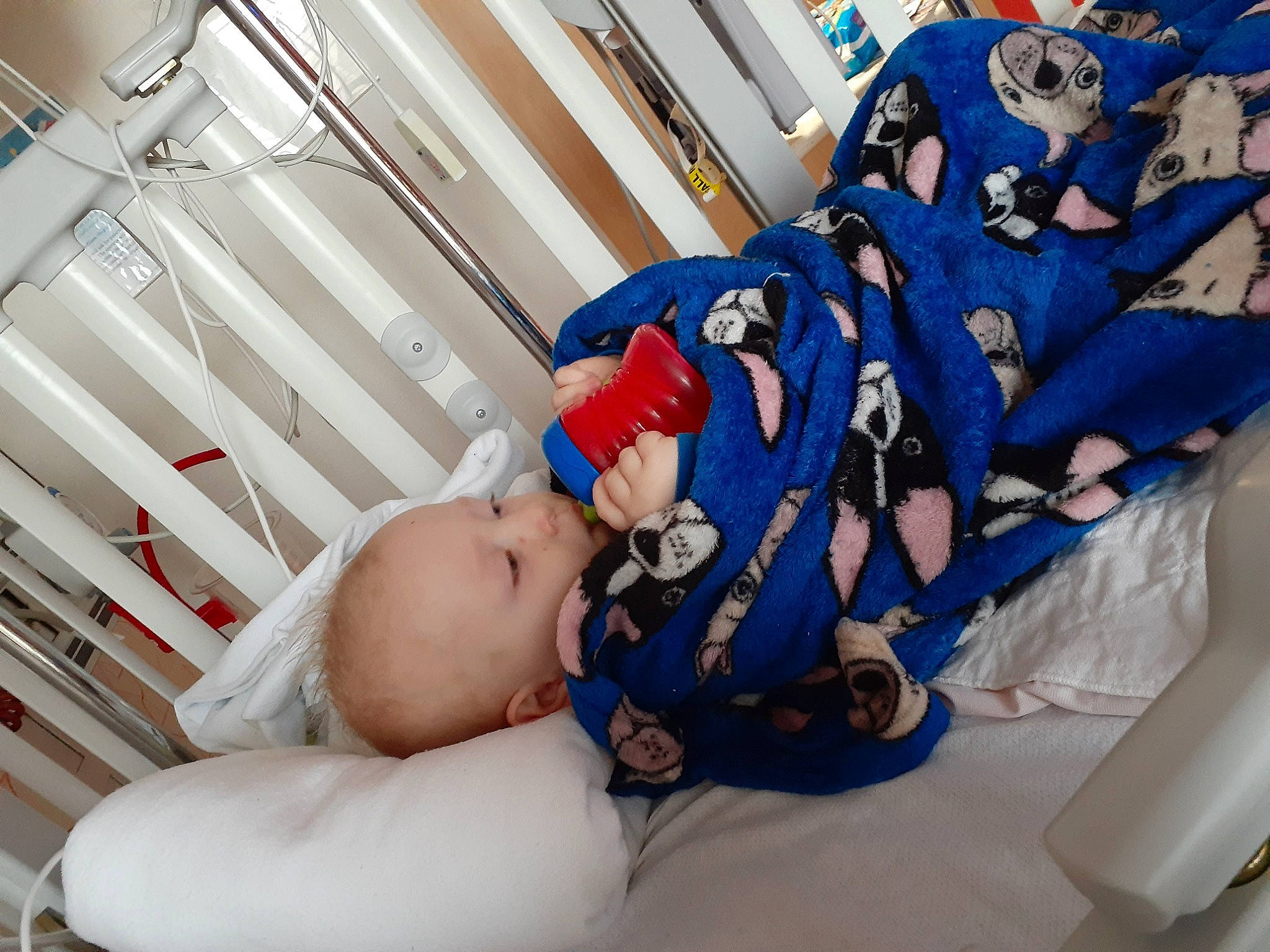 Graysen joined the competition — help win amazing prizes! baby, child, cosplay, costume, fictional_character, leg, nap, person, sleep, toddler