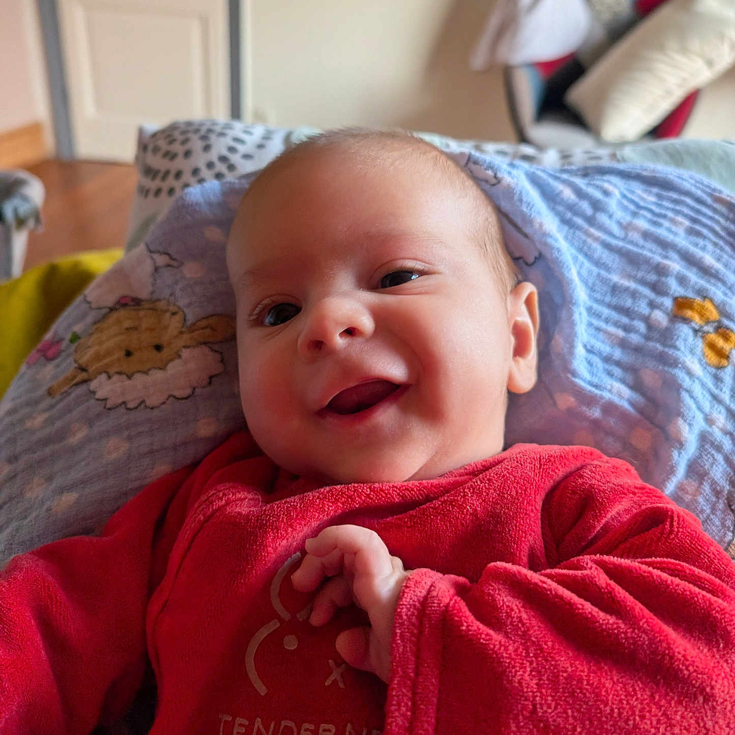 Antonin participe au concours pour gagner de l'argent avec cette photo : baby, blanket, child, closeup, comfort, cute, face, furniture, happy, home, indoor, infant, living_room, pattern, person, portrait, red_clothing, smiling, soft_toys, warm