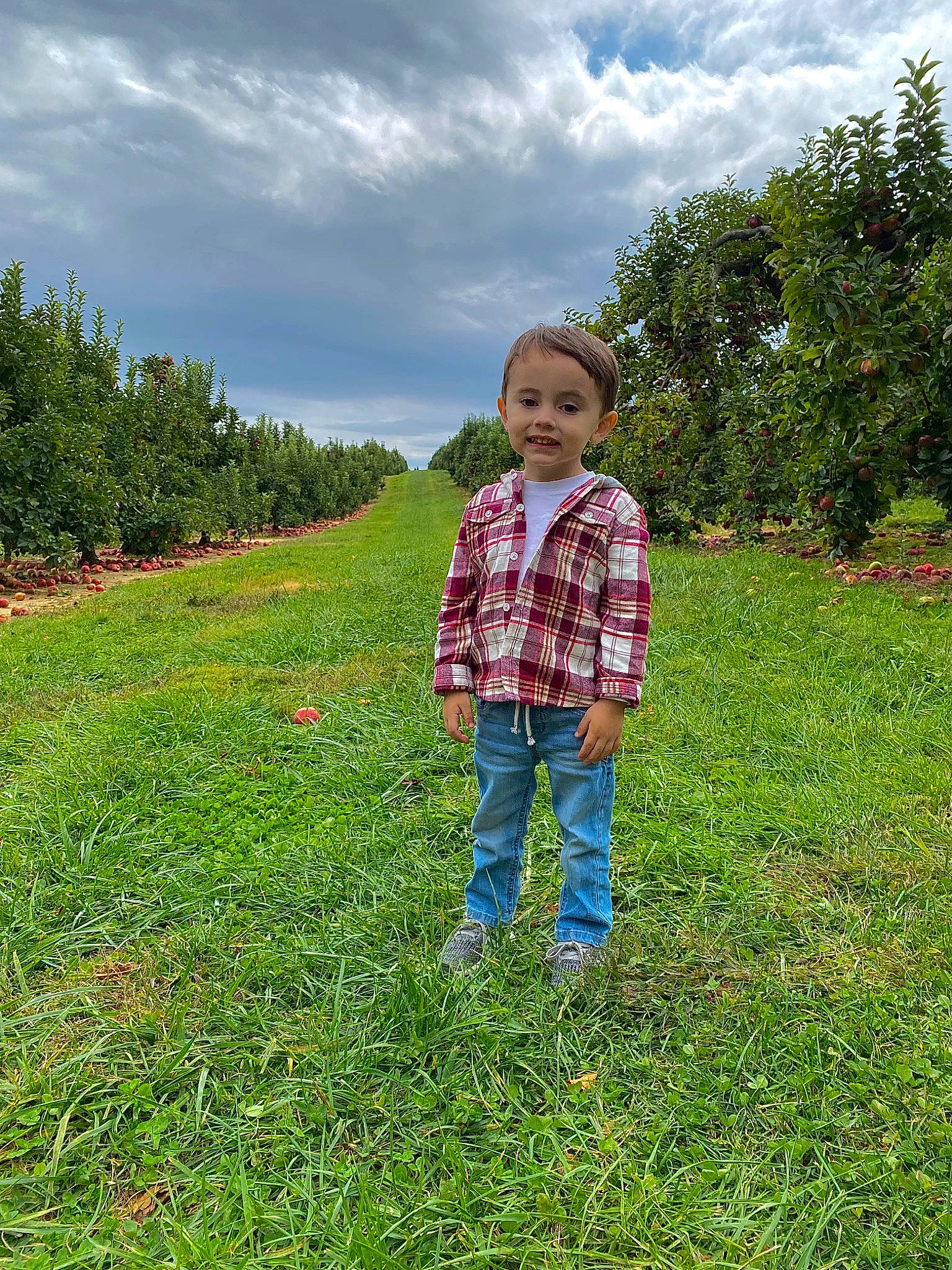 Owen is registered to the contest to win money with this photo: cloud, flower, grass, grass_family, grassland, groundcover, happy, landscape, lawn, meadow, natural_landscape, people_in_nature, person, plant, prairie, rural_area, shrub, sky, smile, toddler