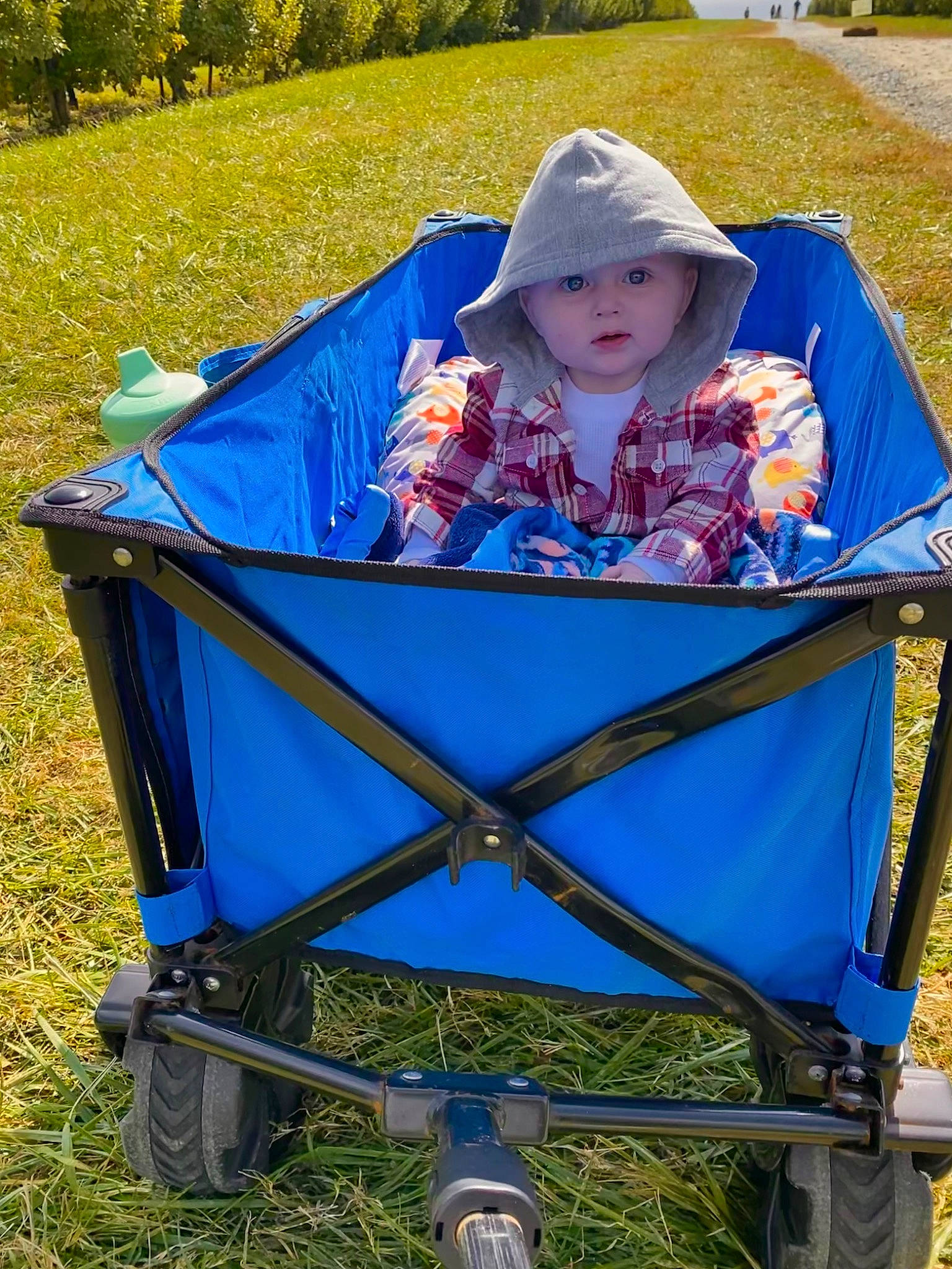 Tucker is registered to the contest to win money with this photo: baby_products, cart, chair, electric_blue, fun, grass, grassland, green, hat, headwear, lawn, leaf, leisure, people_in_nature, person, plant, product, recreation, sun_hat, tire